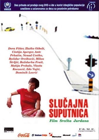 Movie poster for Accidental Co-Traveller