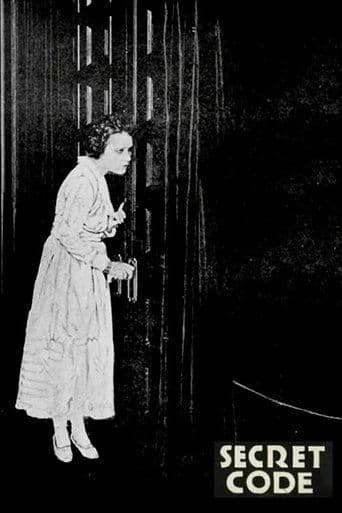 Movie poster for The Secret Code