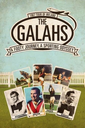 Movie poster for The Galahs
