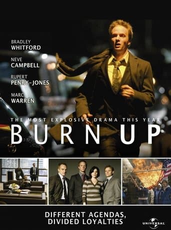 Movie poster for Burn Up