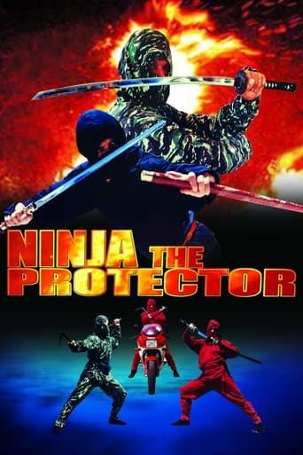 Movie poster for Ninja the Protector