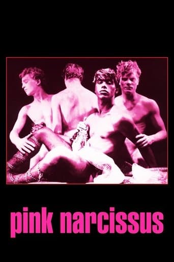 Movie poster for Pink Narcissus