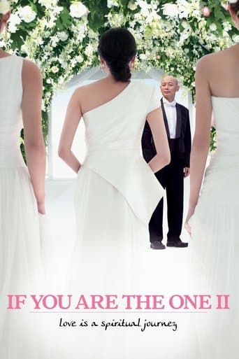 Movie poster for If You Are the One 2