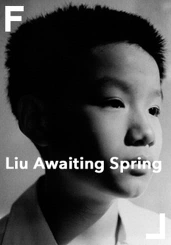 Movie poster for Liu Awaiting Spring