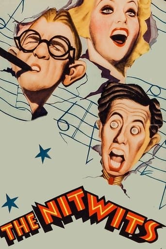 Movie poster for The Nitwits