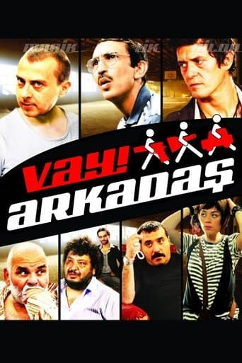 Movie poster for Vay Arkadaş