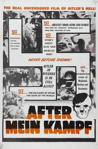 Movie poster for After Mein Kampf?