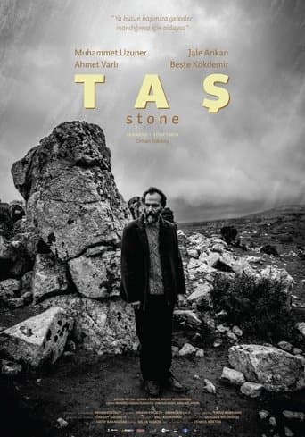 Movie poster for The Stone