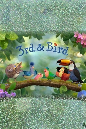 Movie poster for 3rd & Bird