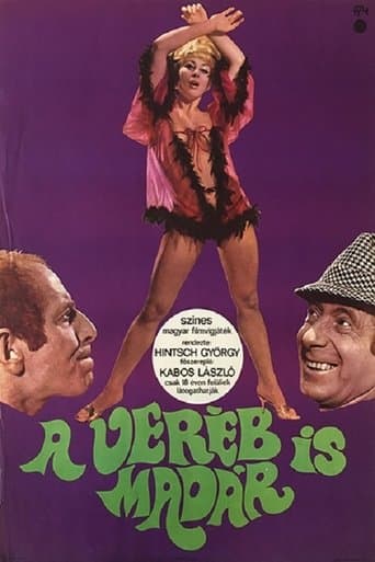 Movie poster for Sparrows Are Birds Too