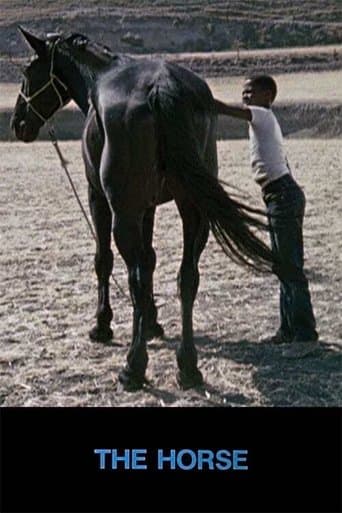 Movie poster for The Horse