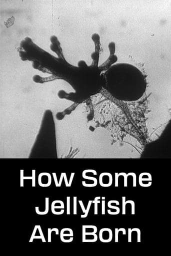 Movie poster for How Some Jellyfish Are Born