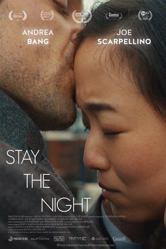 Movie poster for Stay the Night
