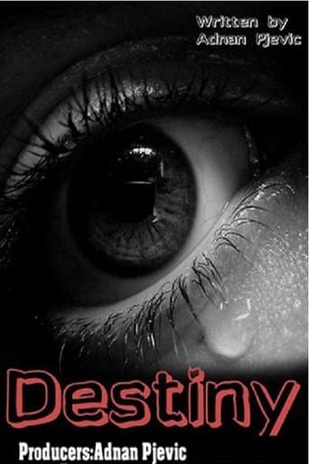 Movie poster for Destiny