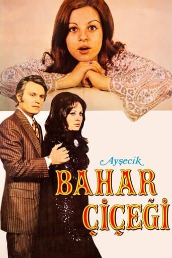 Movie poster for Ayşecik: Bahar Çiçeği