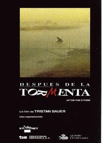 Movie poster for Después de la tormenta