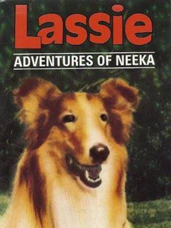 Movie poster for Lassie: The Adventures of Neeka