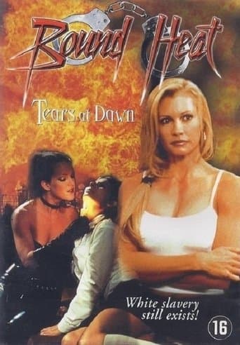 Movie poster for The Final Victim