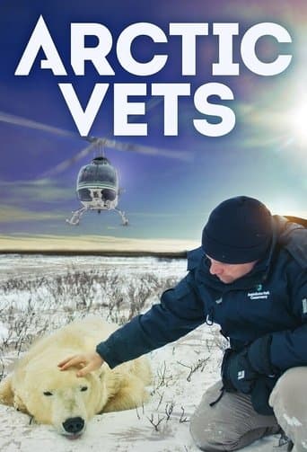 Movie poster for Arctic Vets