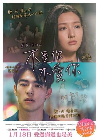 Movie poster for Love at First Lie