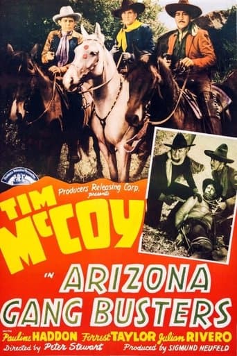 Movie poster for Arizona Gang Busters