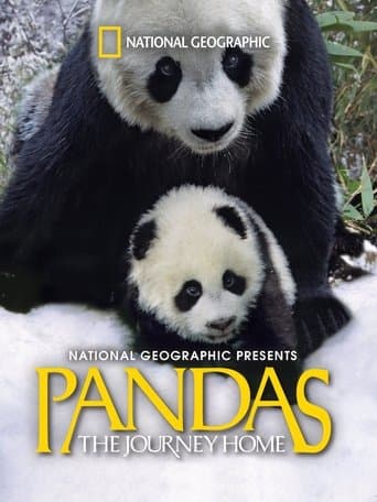 Movie poster for Pandas: The Journey Home