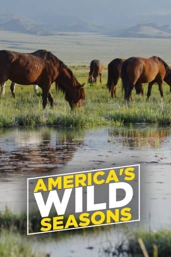 Movie poster for America's Wild Seasons