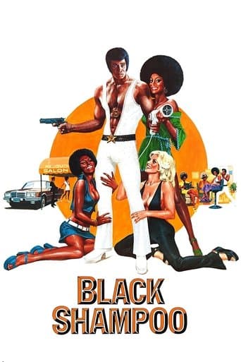 Movie poster for Black Shampoo