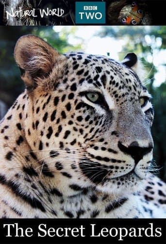 Movie poster for The Secret Leopards