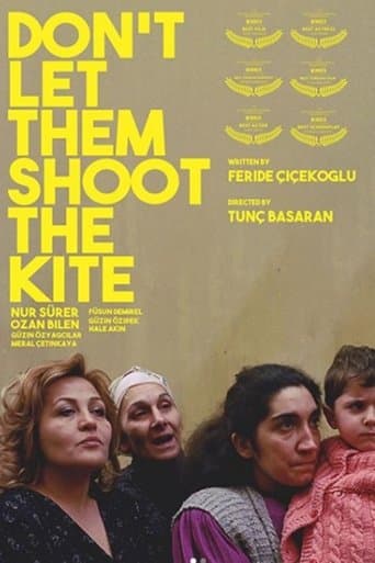 Movie poster for Don't Let Them Shoot the Kite