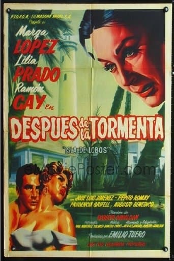 Movie poster for Después de la tormenta