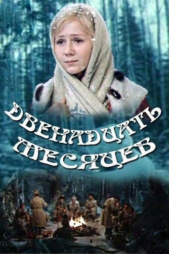 Movie poster for The Twelve Months