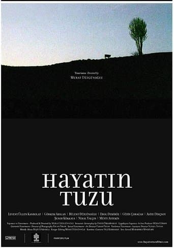 Movie poster for Hayatın Tuzu