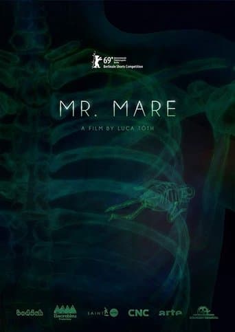 Movie poster for Mr. Mare
