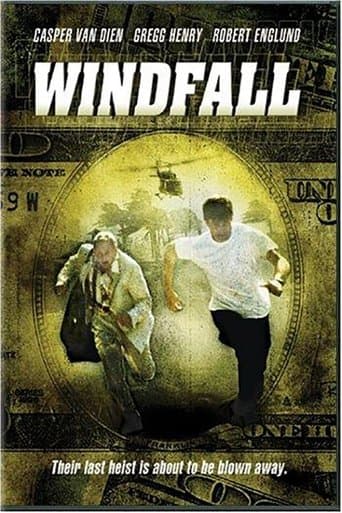 Movie poster for Windfall