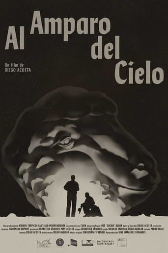 Movie poster for Under the Sky Shelter