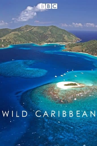 Movie poster for Wild Caribbean
