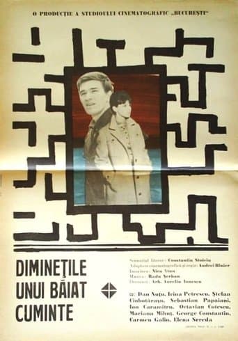Movie poster for The Mornings of a Sensible Youth