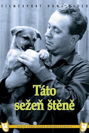 Movie poster for Táto sežeň štěně