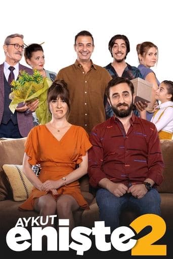 Movie poster for Brother in Love 2