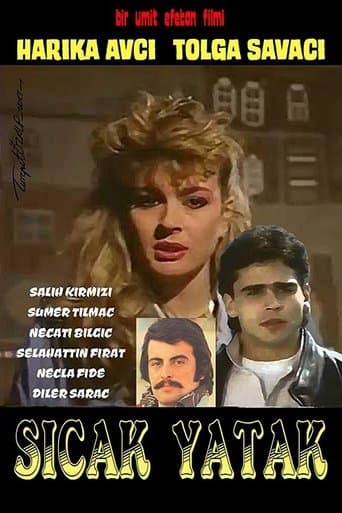 Movie poster for Sıcak Yatak