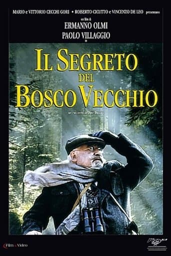 Movie poster for The Secret of the Old Woods