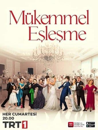 Movie poster for Mükemmel Eşleşme
