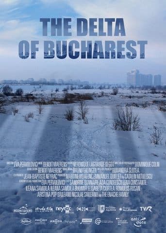 Movie poster for The Delta of Bucharest