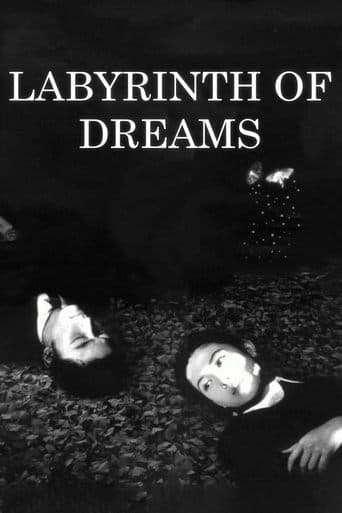 Movie poster for Labyrinth of Dreams