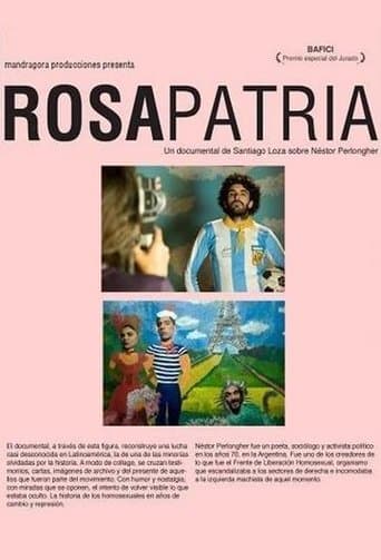 Movie poster for Pink Motherland