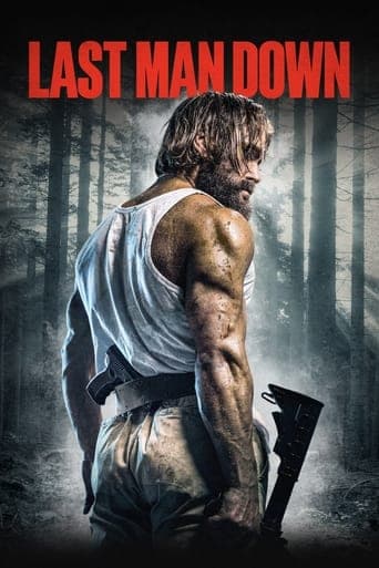 Movie poster for Last Man Down