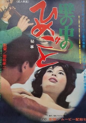 Movie poster for Secrets Behind the Wall