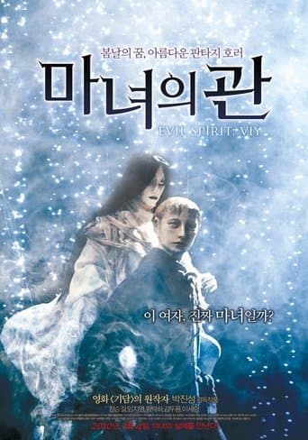 Movie poster for Evil Spirit