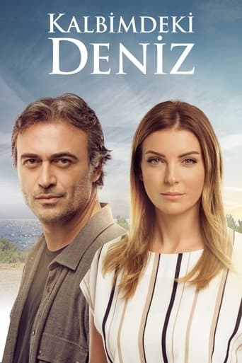 Movie poster for Deniz Inside My Heart